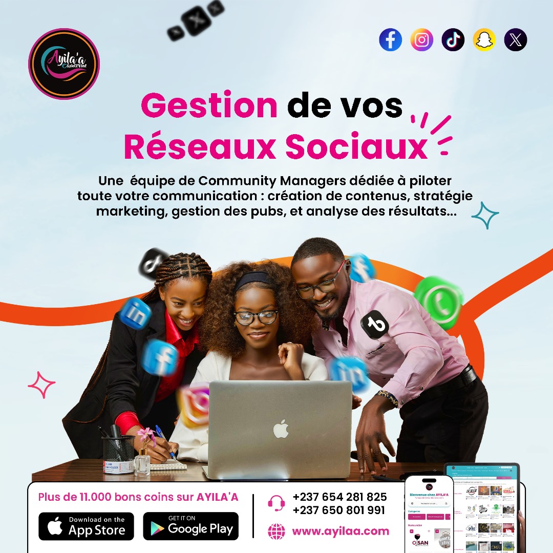 Gestion des Médias Sociaux